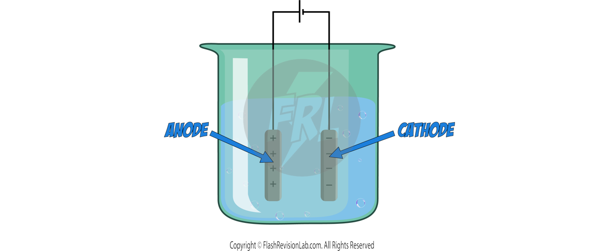 Anode and Cathode